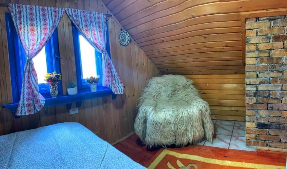 Casuta Mariei Vila Borşa Exterior foto